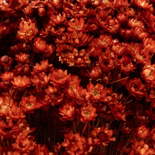 Artikel Boeket gedroogde bloemen, een charmante toevoeging aan vazen of bloemstukken, 44 cm