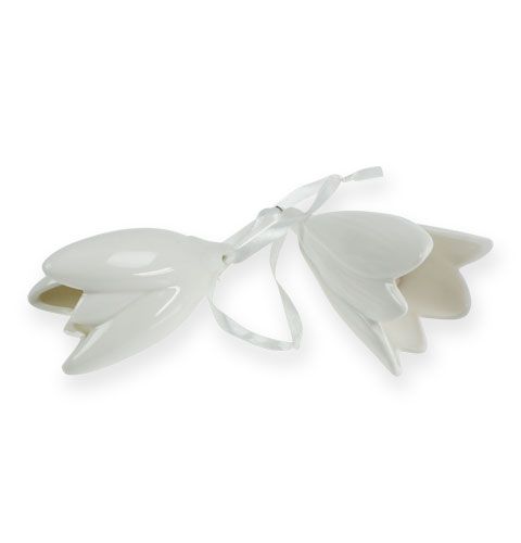 Floristik24 Bellflower wit om op te hangen 9cm, 10cm 2st