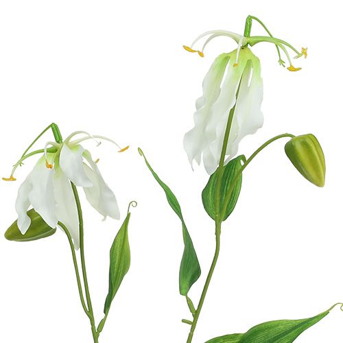 Floristik24 Gloriosa wit kunst 84cm 3st