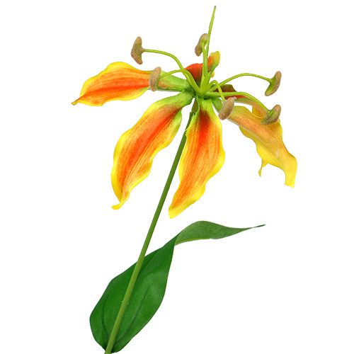 Floristik24 Gloriosa tak oranje-geel 90cm 1st