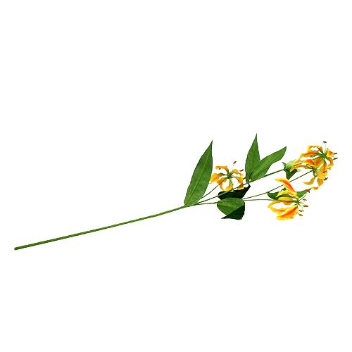 Floristik24 Gloriosa tak oranje-geel 90cm 1st
