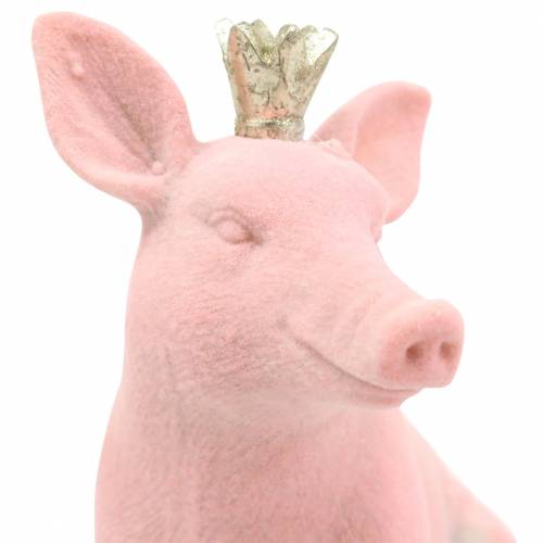 Floristik24 Decoratief figurenset geluksvarken met gouden kroon 12 × 7 × 13cm / 9.2 × 5.5 × 10cm 2st