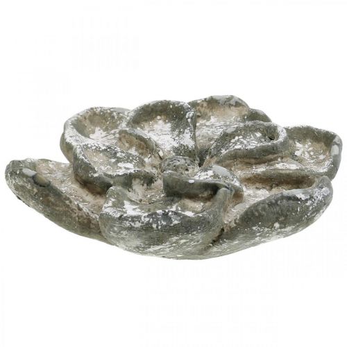 Floristik24 Grafdecoratie, betondecoratie, tuindecoratie, betonroos Ø15.5cm