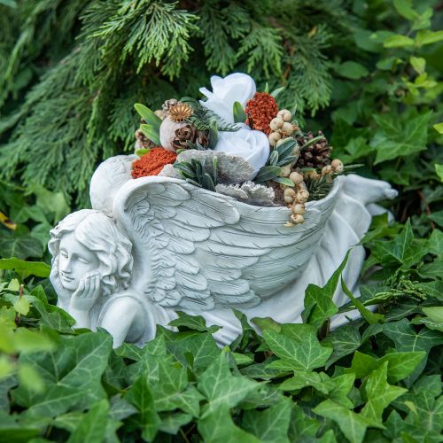 Floristik24 Graf engel met plantenschaal Vogel bad engel liggend 39×18×18cm