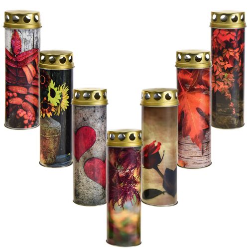 Floristik24 Grafkaarsen rouwkaarsen herfstmotieven kleur Ø6cm H20cm 6 stuks