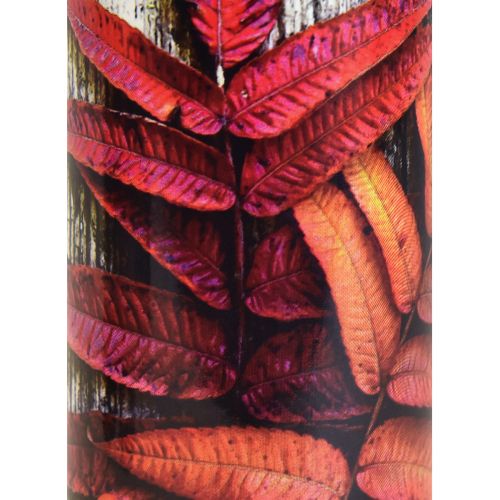 Floristik24 Grafkaarsen rouwkaarsen herfstmotieven kleur Ø6cm H20cm 6 stuks