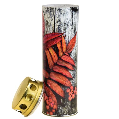 Floristik24 Grafkaarsen rouwkaarsen herfstmotieven kleur Ø6cm H20cm 6 stuks