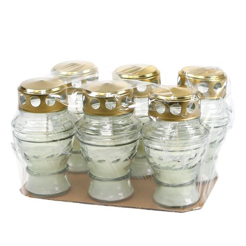 Floristik24 Graf licht wit H13cm 6st
