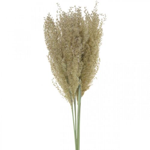 Floristik24 Gedroogd gras siergras voor droge floristische decoratie natuur H55cm