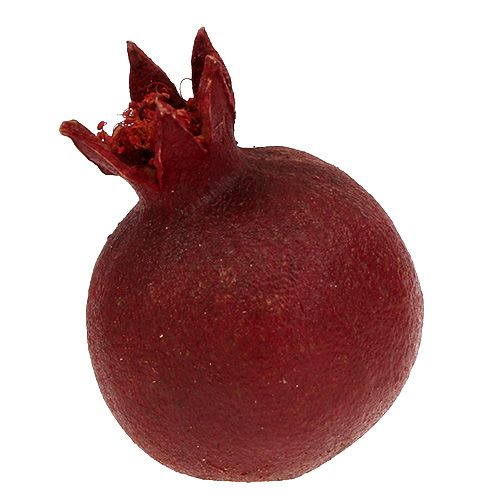 Floristik24 Granaatappels 250g
