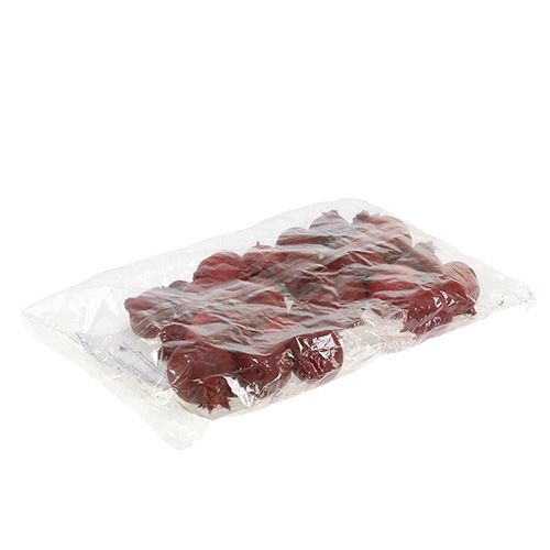 Floristik24 Granaatappels 250g
