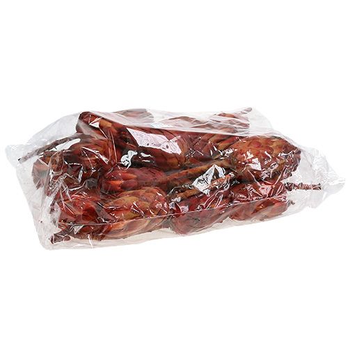 Artikel Grandiceps rood 25 st