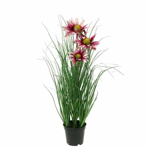 Floristik24 Gras met Echinacea in een pot  kunstmatig Roze 44cm