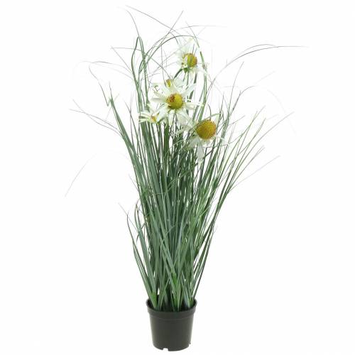 Floristik24 Gras met Echinacea kunstmatig in een witte pot 56cm