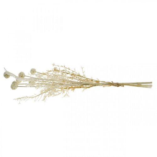 Artikel Droog gras pampagras kunstgras allium crème, beige H60cm