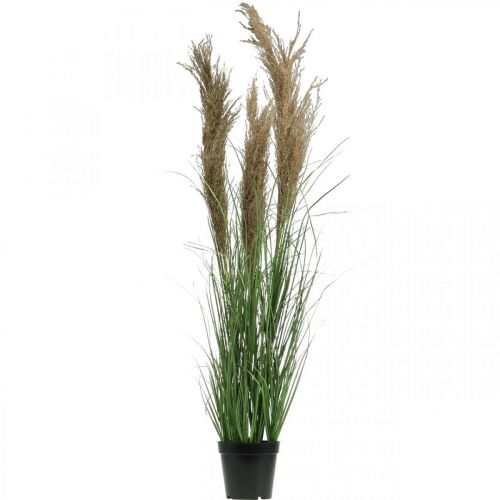 Artikel Kunstzegge in pot met droogbloemen groen, bruin 98cm