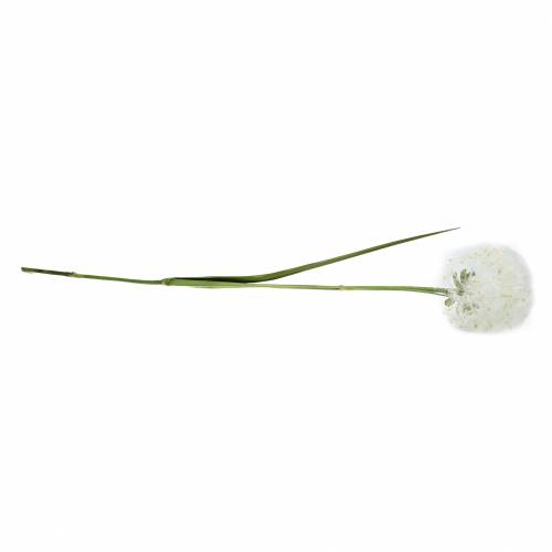 Floristik24 Decoratieve paardebloem 100cm