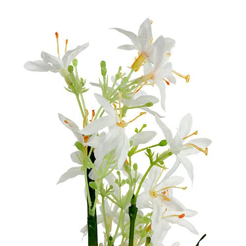 Grasstruik met bloemen groen, wit 3st