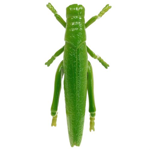 Artikel Sprinkhaan groen 11cm 1 stuk
