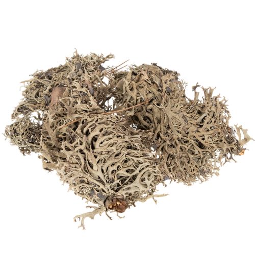 Decoratief mos, grijs mos voor knutselprojecten, 500 g