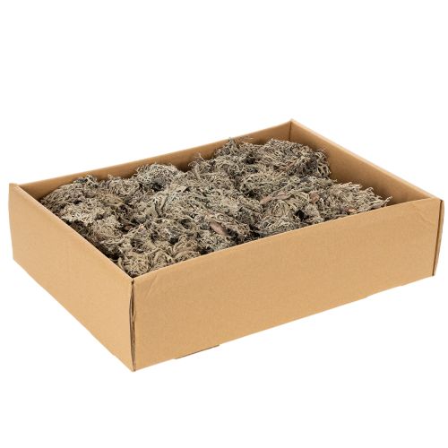Decoratief mos, grijs mos voor knutselprojecten, 500 g | Floristik24.nl