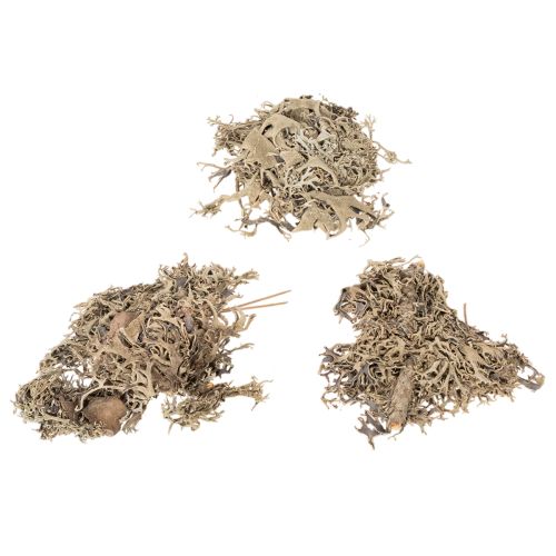 Decoratief mos, grijs mos voor knutselprojecten, 500 g | Floristik24.nl