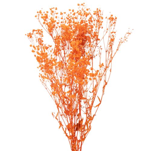 Boeket gedroogde gipskruidbloemen (Gypsophila) 75 cm 100 g