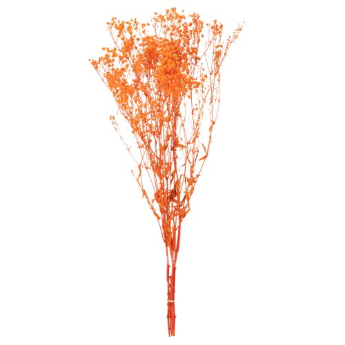 Boeket gedroogde gipskruidbloemen (Gypsophila) 75 cm 100 g | Floristik24.nl