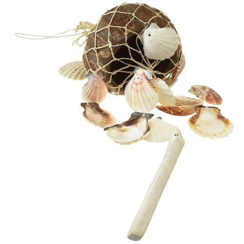 Artikel Hangdecoratie schelpen kokosnoot decoratie maritiem 53cm 2st