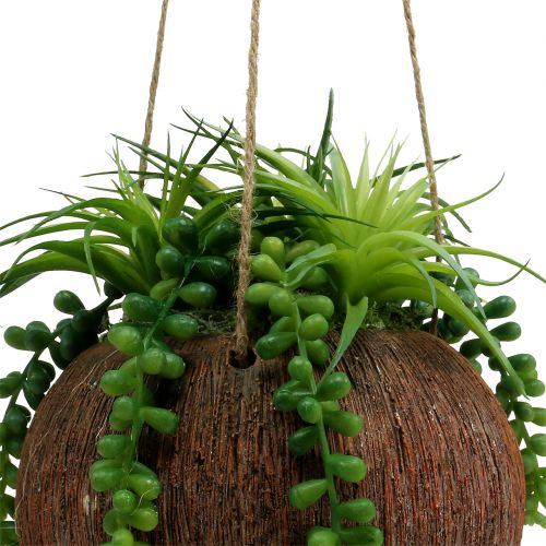 Artikel Hangende planten vetplanten in een pot L60cm Ø16cm