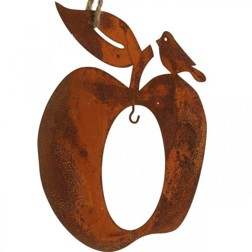Floristik24 Decohanger metaal appel peer patina decoratie 23/24cm 2st