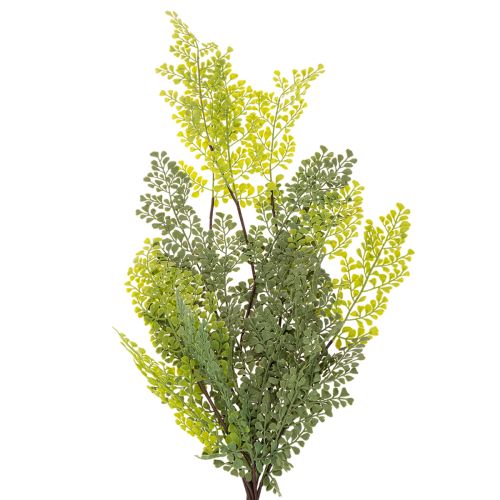 Kunstmatige varentak, delicaat, voor vaas, 80 cm | Floristik24.nl