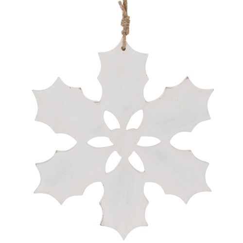 Hulstornament, kerstversiering om op te hangen, 26 cm | Floristik24.nl