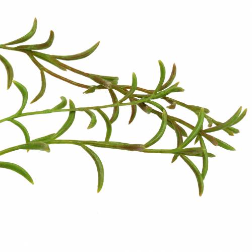 Floristik24 Koraalcactus kunst Rhipsalis hanger 90cm