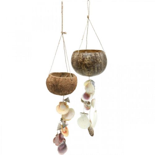 Kokosschaal met schelpen, naturel plantenschaal, kokos als hanging basket Ø13.5/11.5cm, set van 2