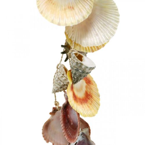 Floristik24 Kokoskom met schelpen, natuurlijke plantenkom, kokosnoot als hangmand Ø13,5/11,5cm, set van 2