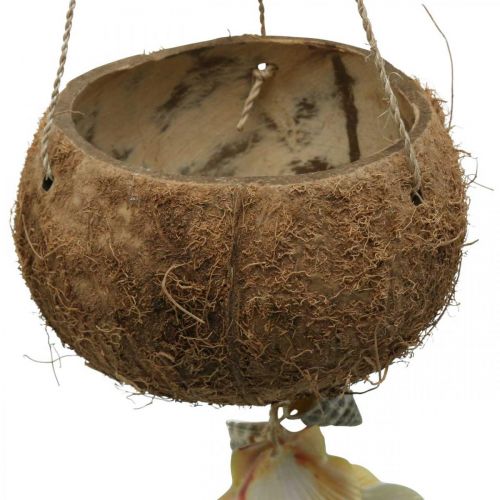 Kokosschaal met schelpen, naturel plantenschaal, kokos als hanging basket Ø13.5/11.5cm, set van 2
