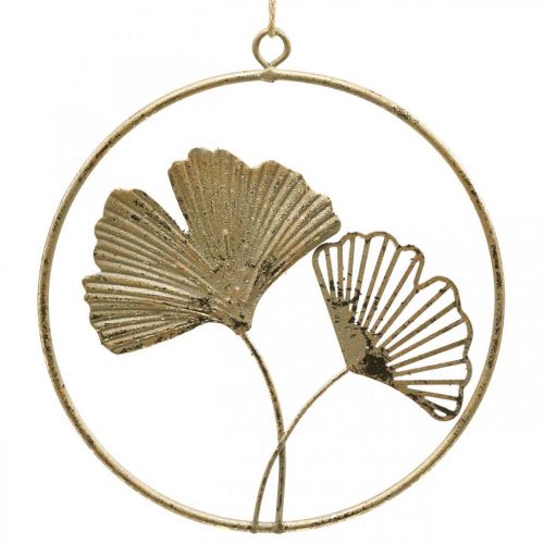 Floristik24 Ginkgo deco gouden hanger vintage metalen decoratie Ø16cm 3st