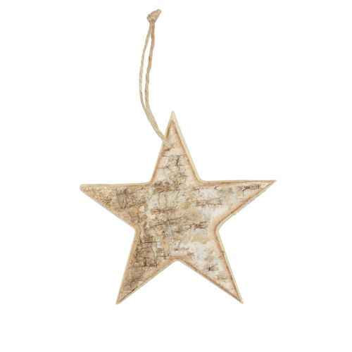 Floristik24 Houten sterren decoratieve decoratieve hanger rustiek decoratief hout Ø15cm