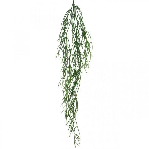 Floristik24 Sierranken, koraalcactus, Rhipsalis kunsthanger Groen L120cm