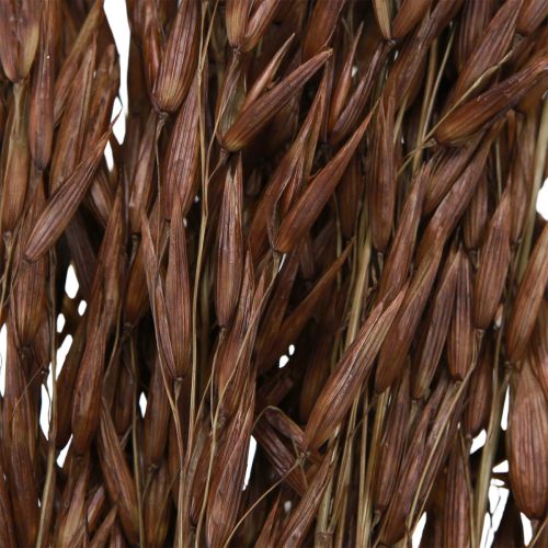 Artikel Haver droogdecoratie droog gras bruin L64cm 70-75g 2st