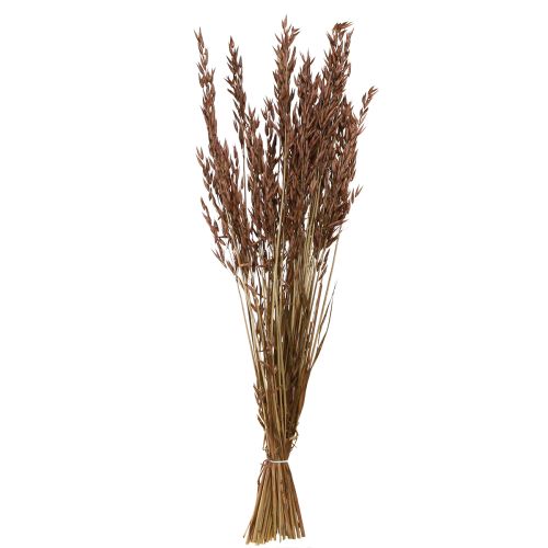 Artikel Haver droogdecoratie droog gras bruin L64cm 70-75g 2st