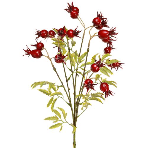 Rozenbottels kunstdecoratieve takken met 7 vruchten donkerrood 48cm