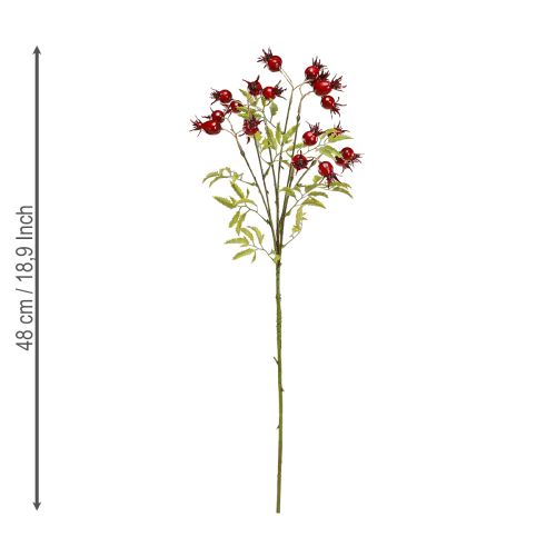 Floristik24 Rozenbottels kunstdecoratieve takken met 7 vruchten donkerrood 48cm