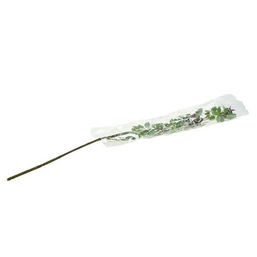 Floristik24 Rozenbotteltak L92cm met sneeuw
