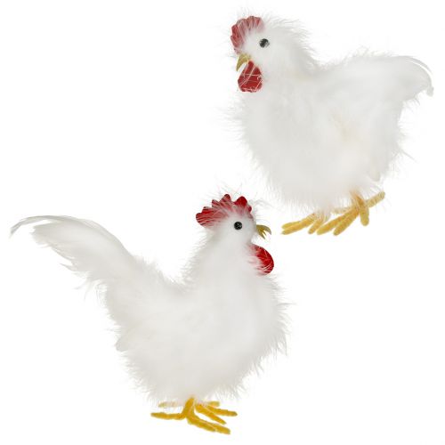 Haan hen met veren wit 17cm, 21cm 2st