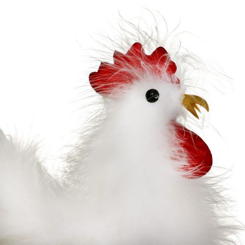 Floristik24 Haan hen met veren wit 17cm, 21cm 2st