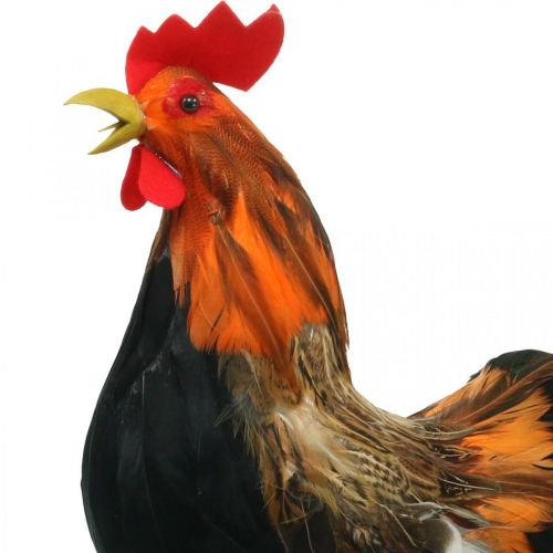 Floristik24 Decoratief haan met veren Paasdecoratiefiguur boerderij haan 36cm