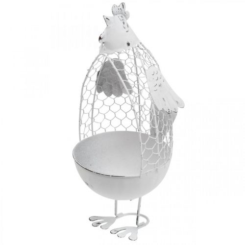 Floristik24 Kip voor opplant, roostermand, paasdecoratie, landelijke stijl wit, zilver H26.5cm Ø11.5cm