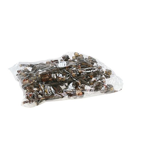 Artikel Hakea medium naturel 5-9 kroppen per tak 20 st